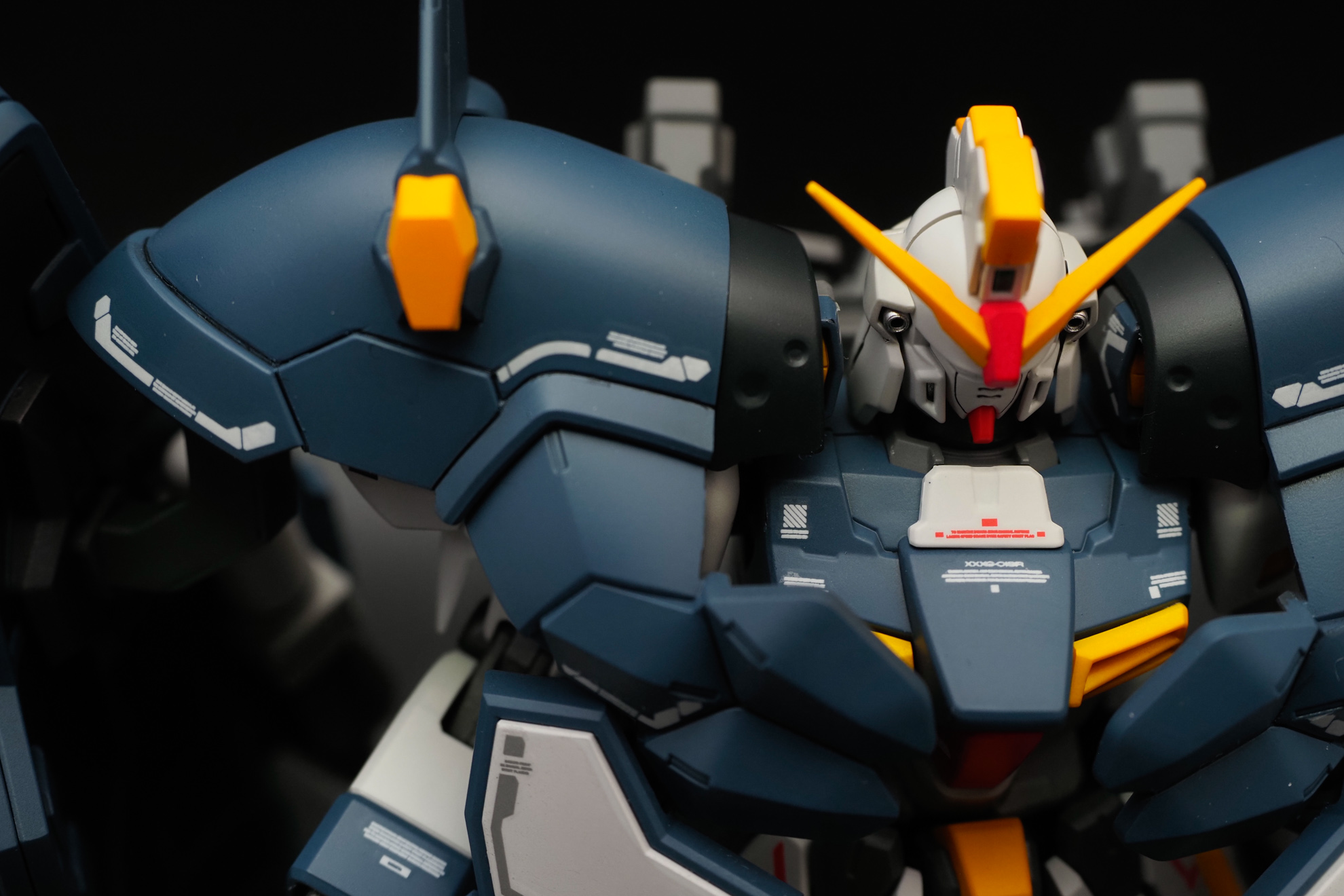 EXCEED MODEL ドムヘッド サンドカラー 現地改修 塗装完成品 EXCEED